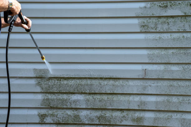 Trusted Thief River Falls, MN Siding Experts